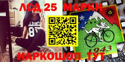 spice Кинель