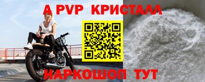 твердый Кингисепп