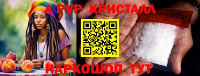 твердый Кингисепп