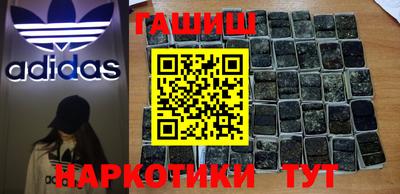 твердый Кингисепп