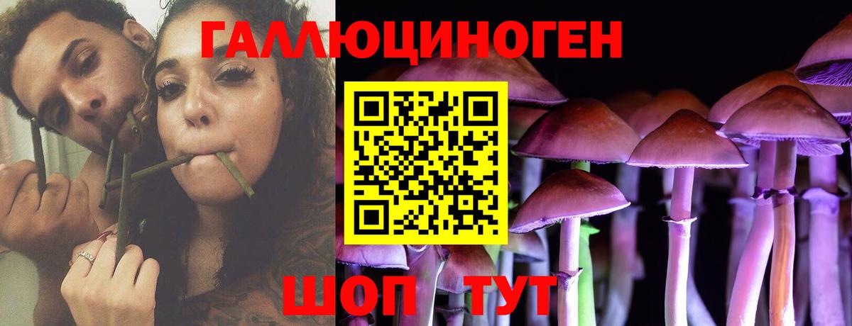 Галлюциногенные грибы мицелий  Вход с VPN  купить закладку  Новоалтайск  Галлюциногенные грибы мухоморы 